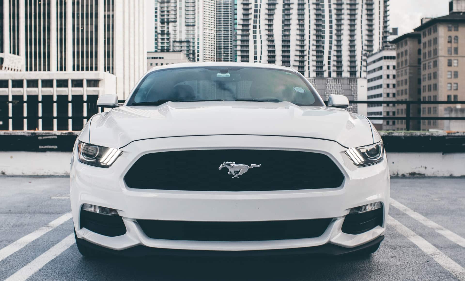 Prøv den elektriske Mustang Mach-E